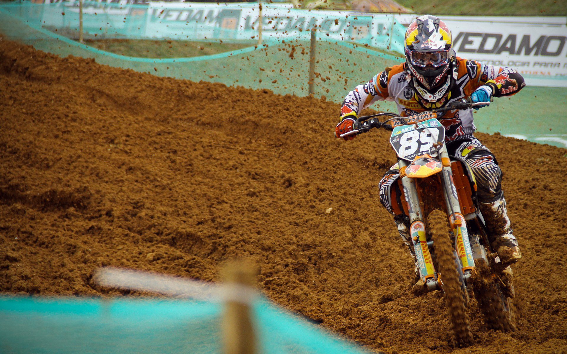 综合格斗赛场焦点！韩国队对阵荷兰队，爆冷逆转，黑马强势击败劲敌